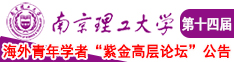 肏女人屄在线观看南京理工大学第十四届海外青年学者紫金论坛诚邀海内外英才！